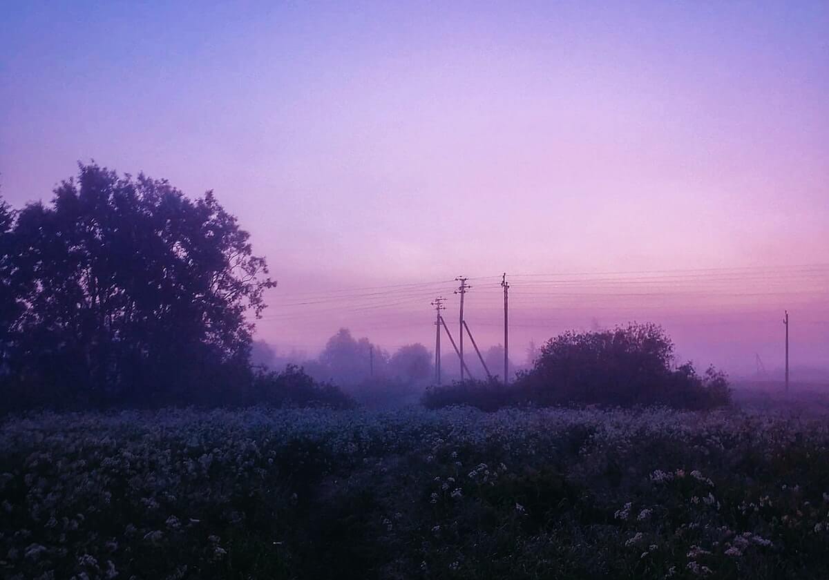 糖心Vlog读懂靠手上功夫：围绕转发语是不是让语气更极端去把传播链写成流程（像做阅读题）